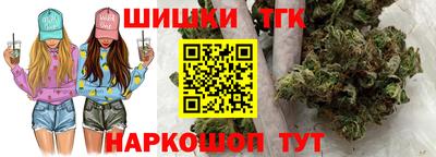 молекула духа Пенза