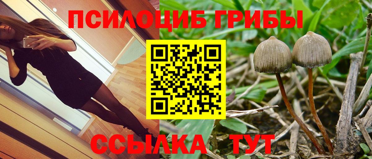 Орехово-Зуево  Псилоцибиновые грибы мухоморы  Вход с VPN 