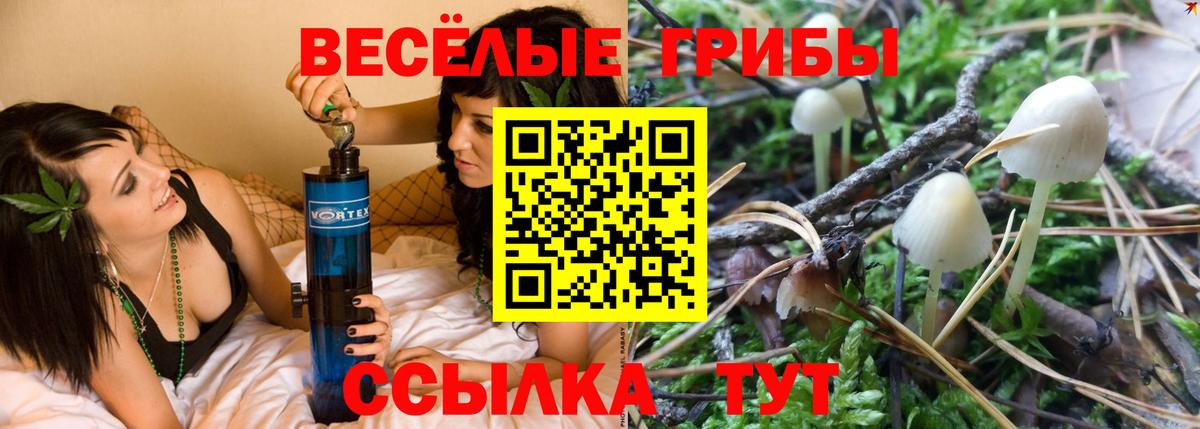 Галлюциногенные грибы Cubensis Орехово-Зуево